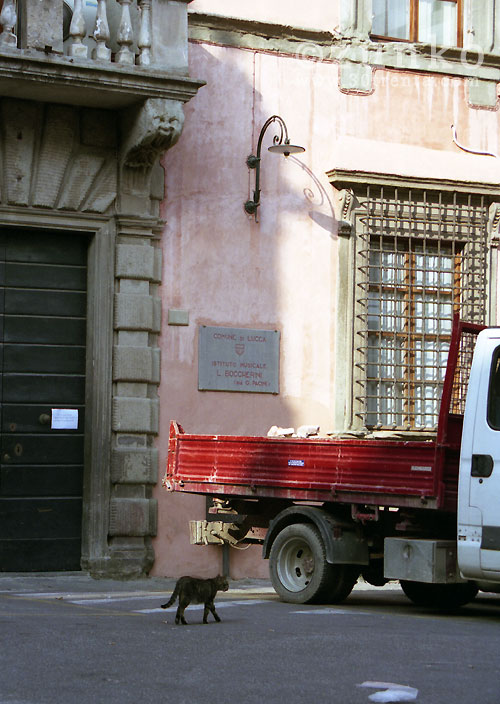 d0192079_1842126.jpg