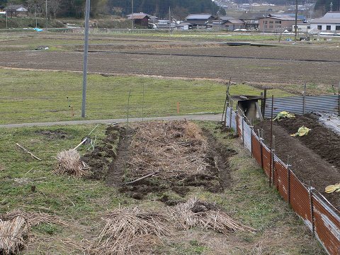 b0042882_1531586.jpg
