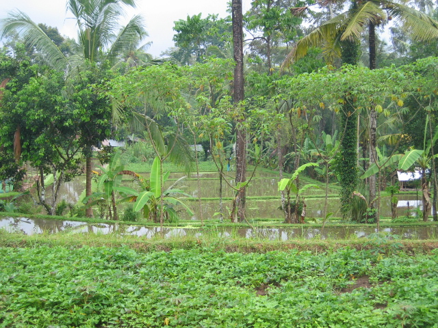 a0154887_8355278.jpg