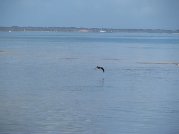 c0064389_2023569.jpg