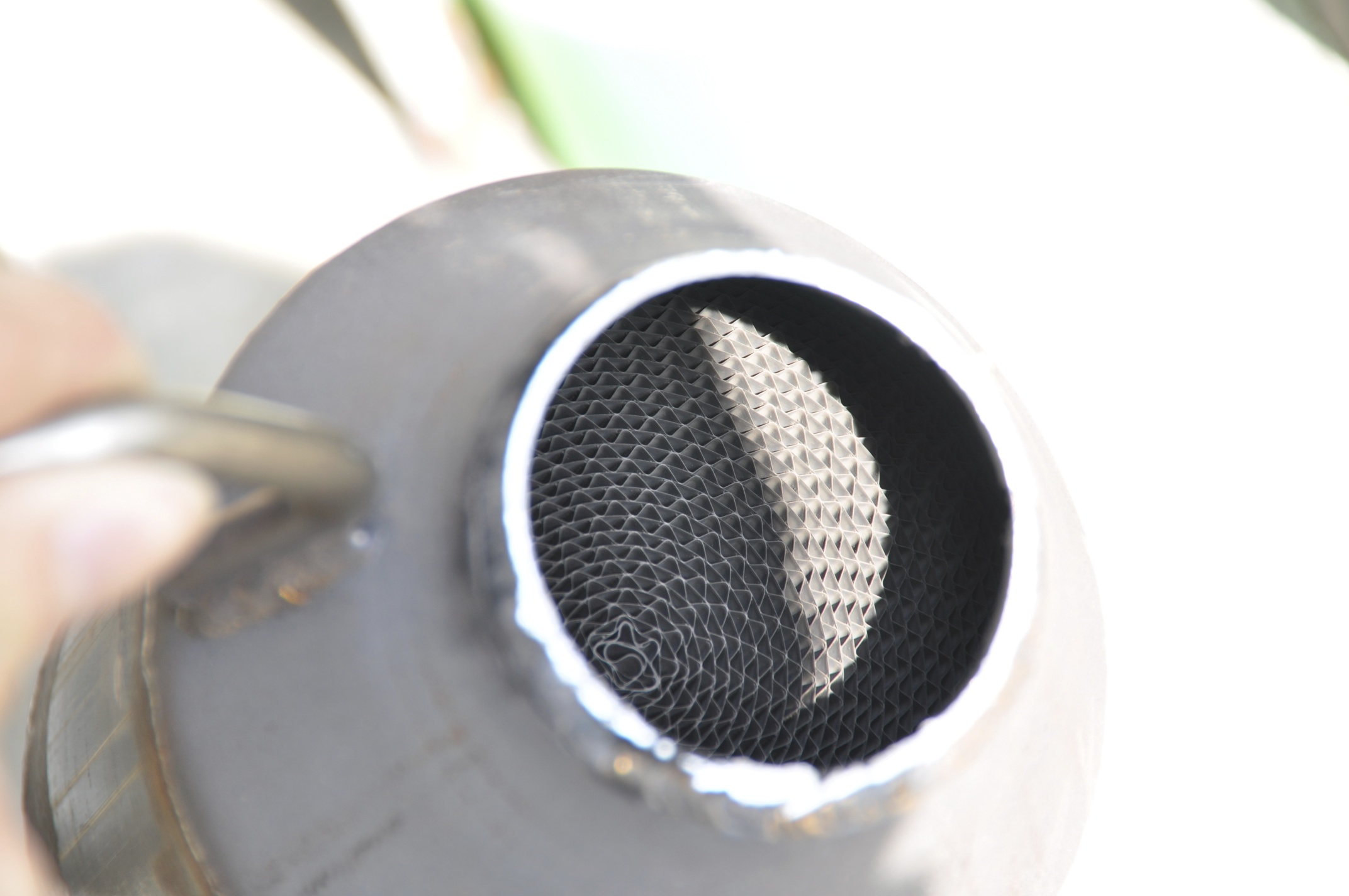 c0126390_20334449.jpg