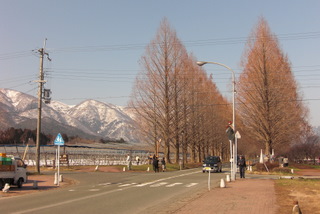 b0169292_11244886.jpg