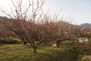 b0169292_11312725.jpg