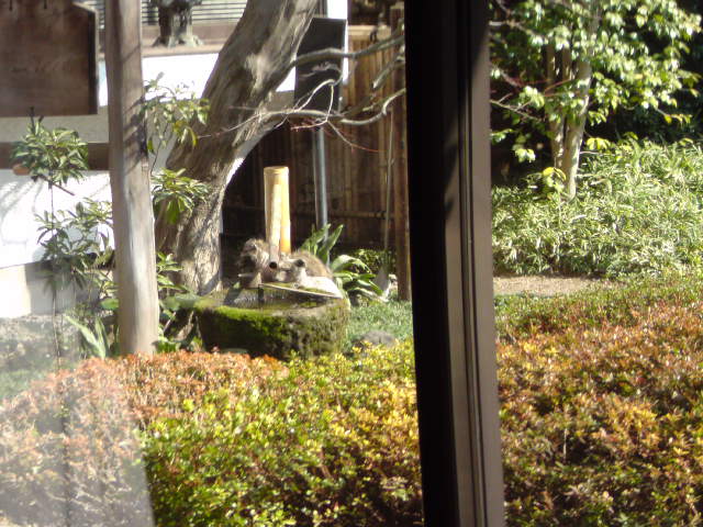 f0084695_8205195.jpg
