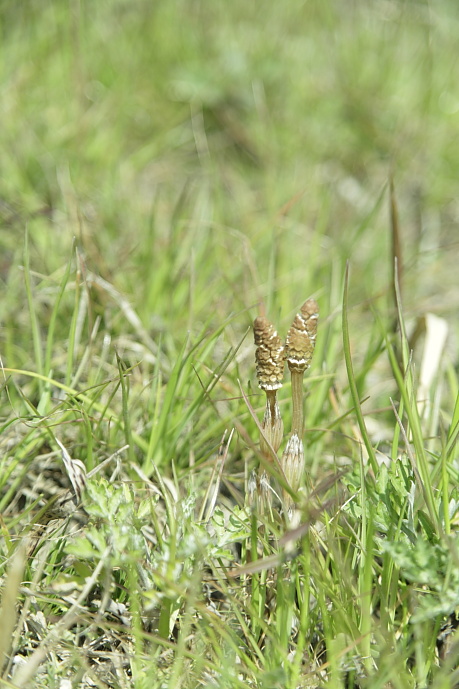 f0219195_1613991.jpg