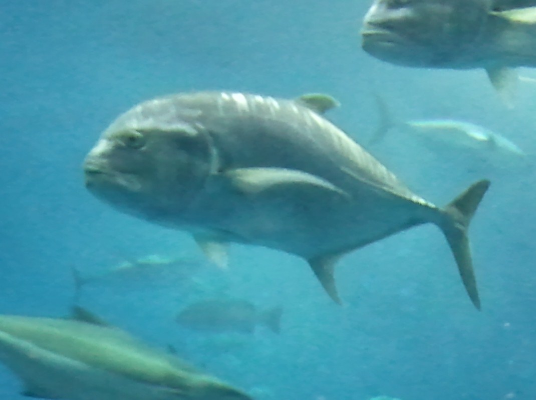 d0077699_2212272.jpg
