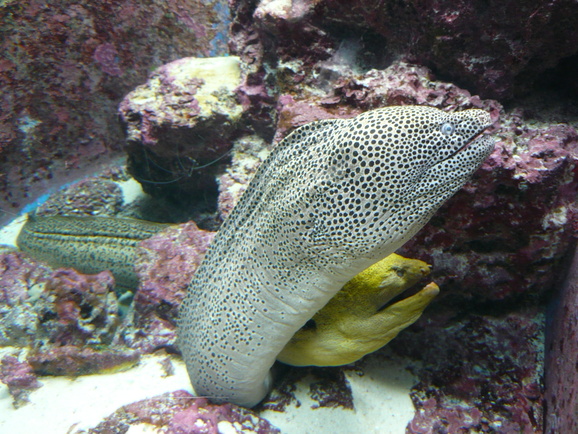 d0077699_2261525.jpg