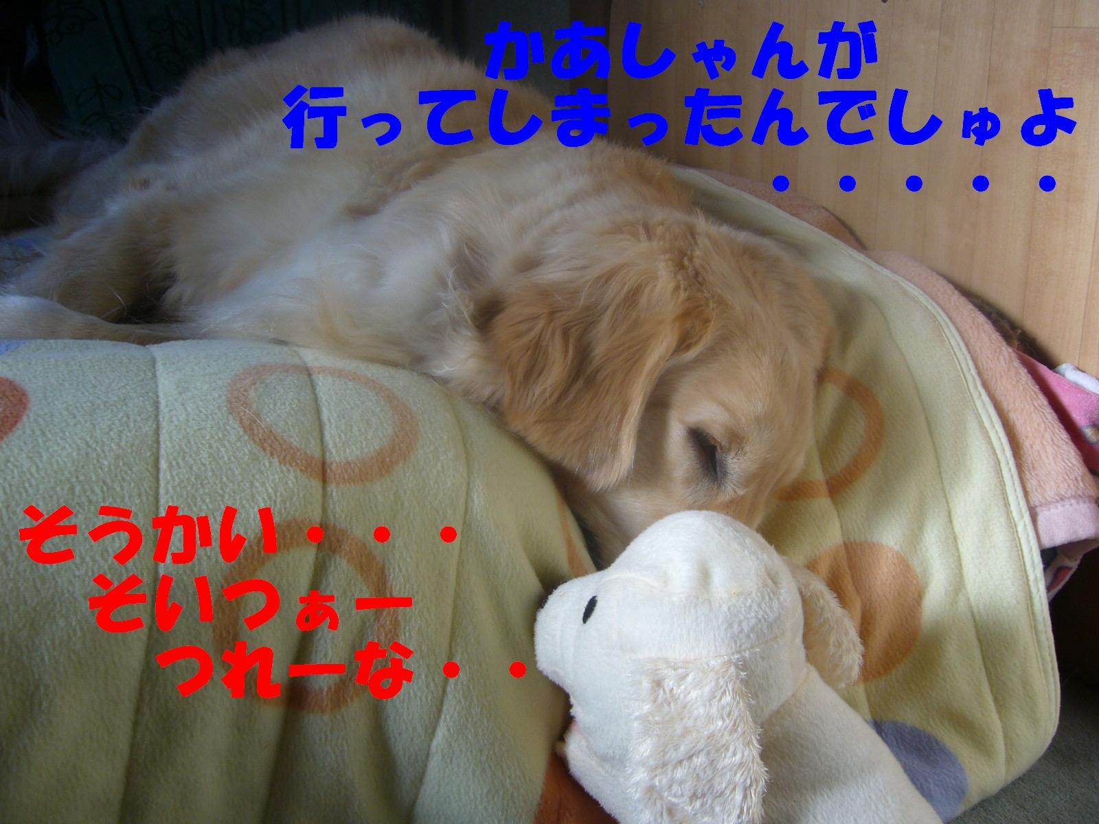 b0206300_1343575.jpg