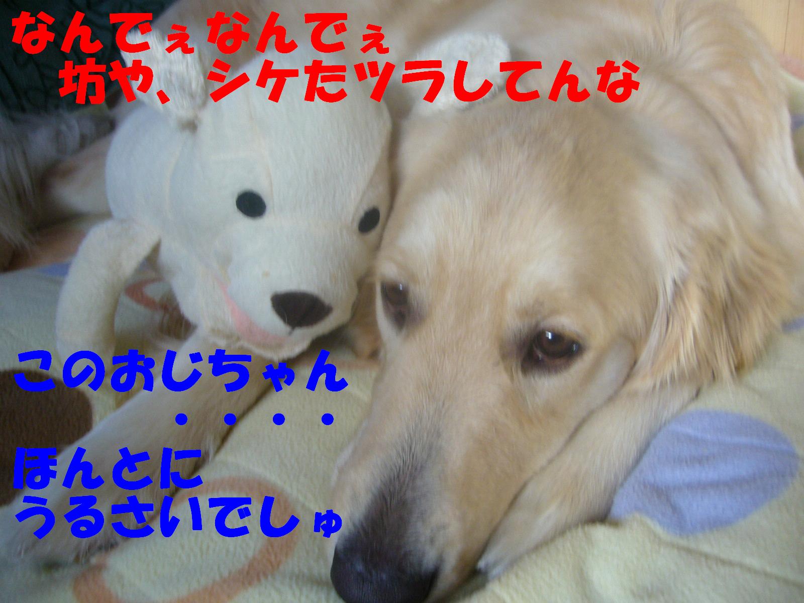 b0206300_1354530.jpg