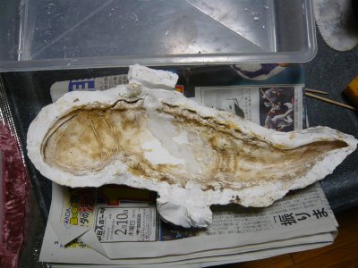c0024502_225113.jpg
