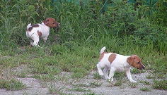 f0067404_22461658.jpg
