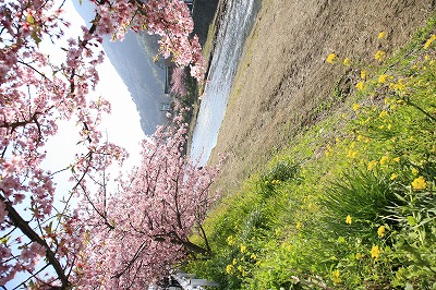 a0188405_8512517.jpg