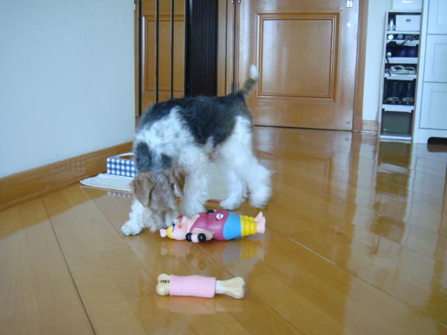 d0200406_10414025.jpg