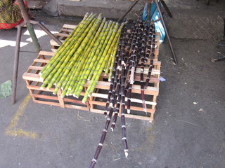 f0144707_20123769.jpg