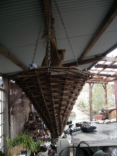c0190010_2173228.jpg