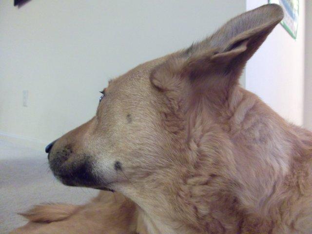 c0079011_11193282.jpg