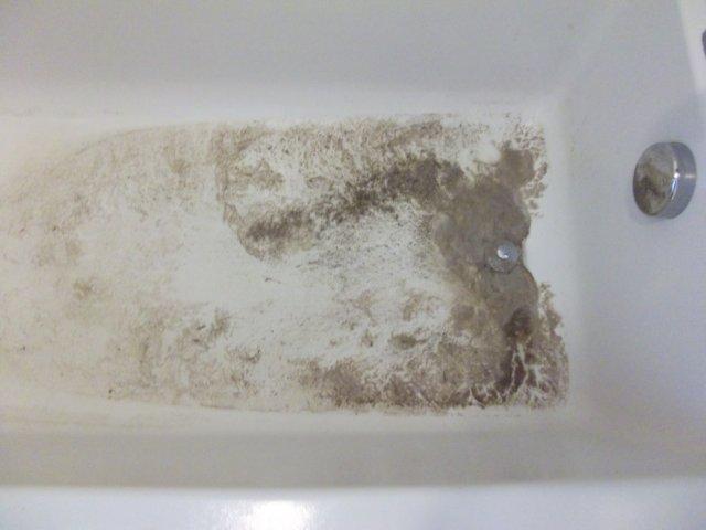 c0079011_1123893.jpg