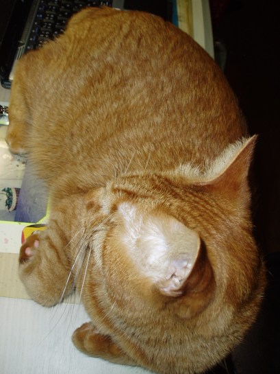 e0035711_20114988.jpg