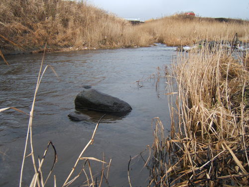 f0079411_20255895.jpg