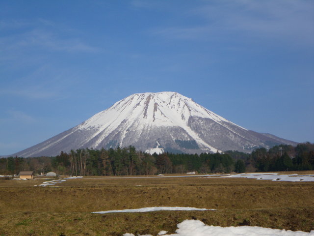 d0006512_2105063.jpg