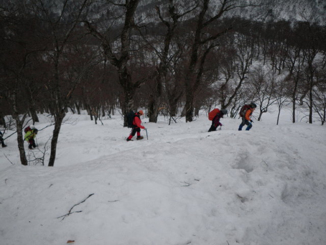 d0006512_21282.jpg