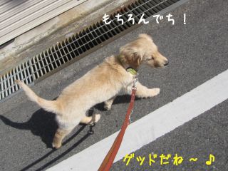 b0008217_1644177.jpg