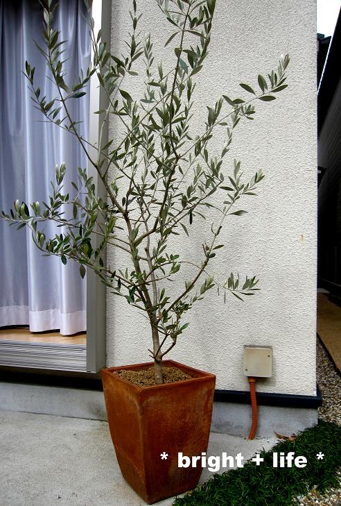 e0230923_1353686.jpg