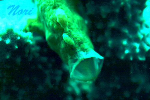 b0044726_021184.jpg