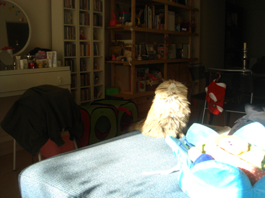 e0157129_17564269.jpg