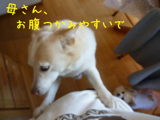 b0138430_21113145.jpg