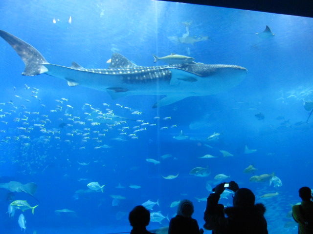 d0088735_1810964.jpg