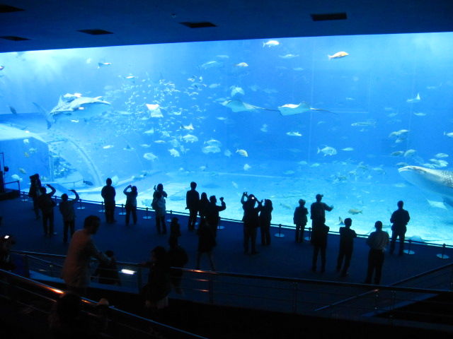 d0088735_1894756.jpg