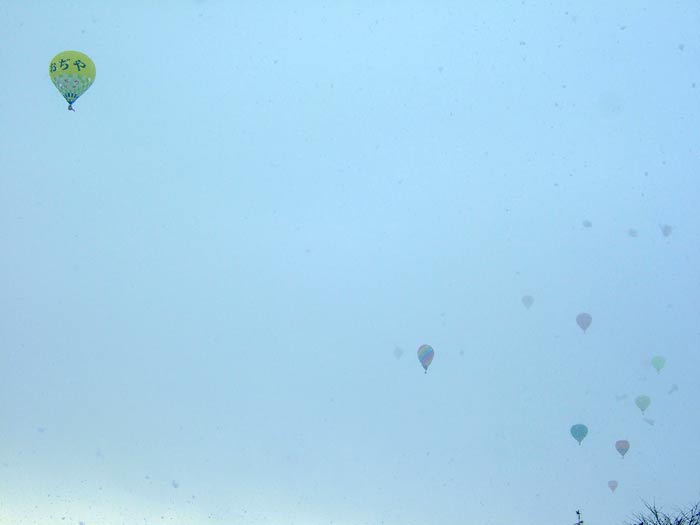 e0006242_1637121.jpg