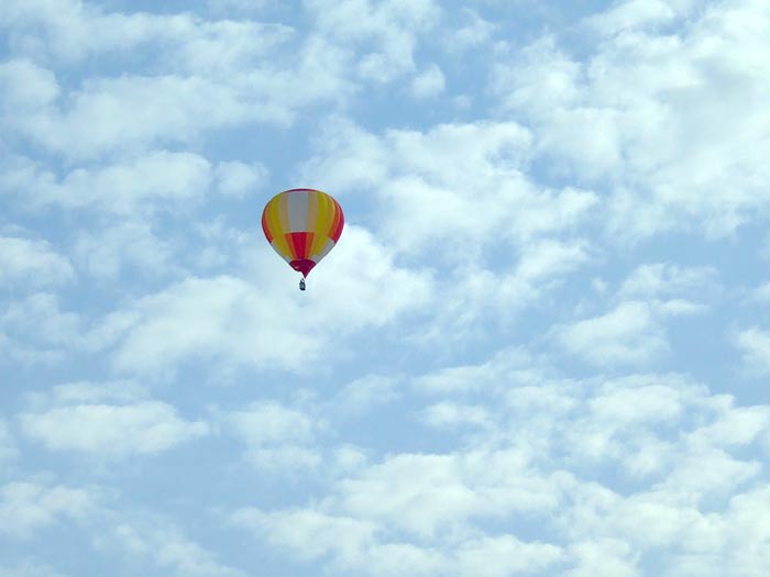 e0006242_1794725.jpg