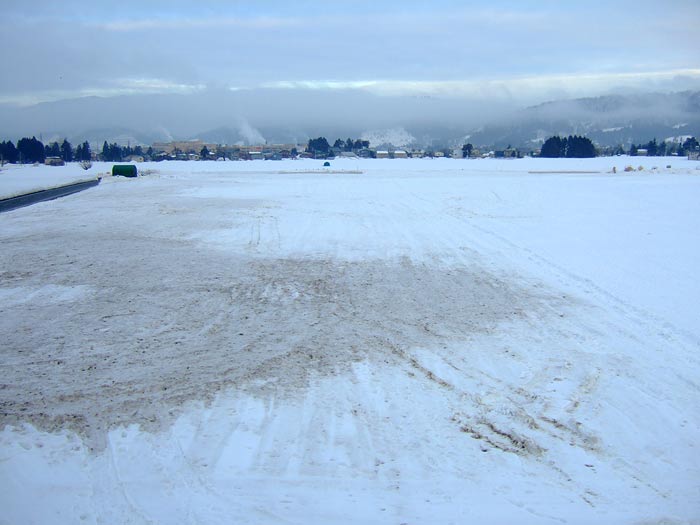 e0006242_1795078.jpg