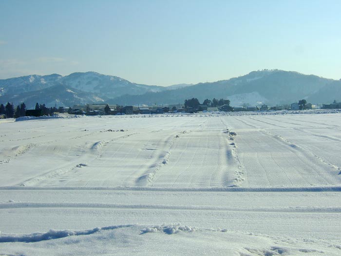 e0006242_179575.jpg