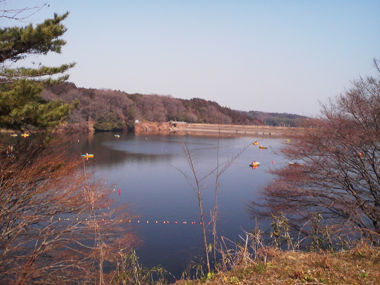 d0124543_2105415.jpg