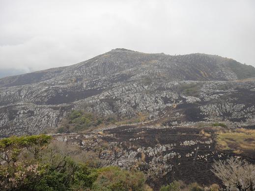 e0164643_15423113.jpg