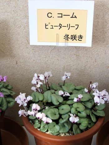 c0147952_024436.jpg