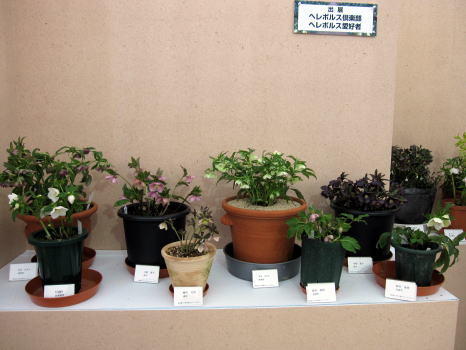 c0147952_2348239.jpg