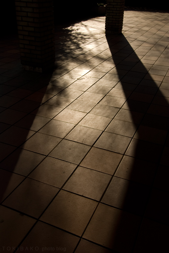 d0100156_029178.jpg