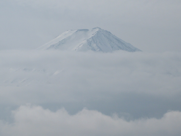 d0117559_2316243.jpg