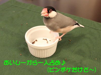 b0158061_232382.jpg