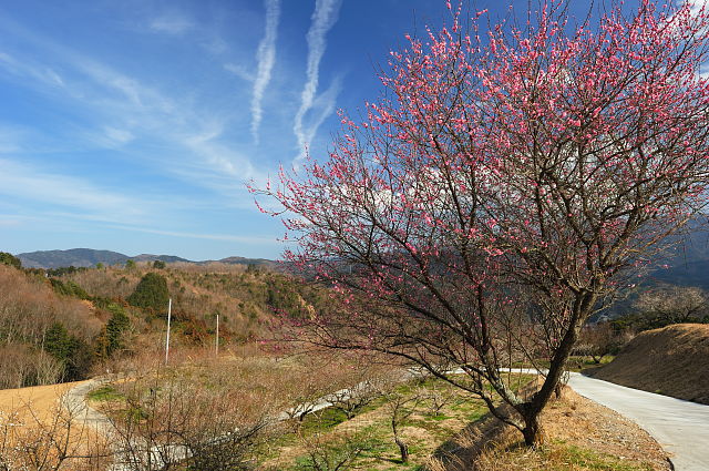 f0222161_12284426.jpg