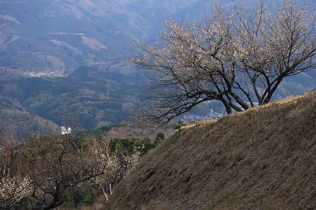 f0222161_12291066.jpg