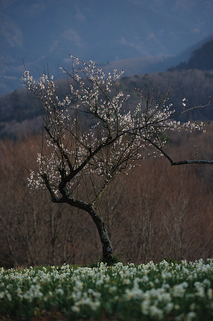 f0222161_1229250.jpg
