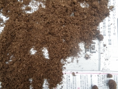 f0055264_1951145.jpg