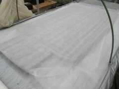 f0055264_1957890.jpg