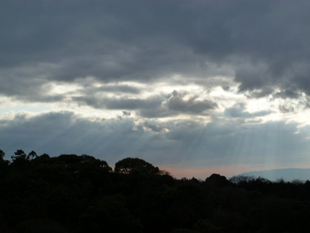 c0100865_037087.jpg
