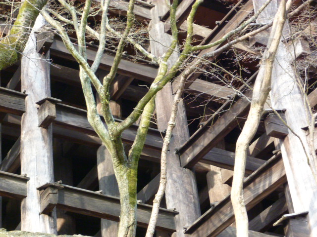 c0100865_0435679.jpg